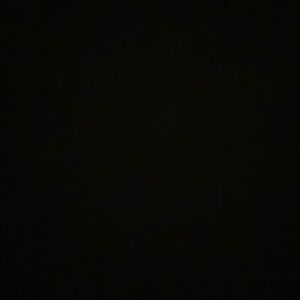 Meet your Posher, Phoebe